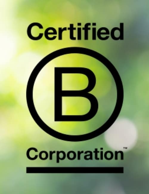 B Corp Greenwashing: How Ethical & Reliable Is Their Certification? #bcorpgreenwashing #bcorpissues #bcorpethics #bcorpcontroversies #sustainablejungle Image by 9600GTX via Getty Images on Canva Pro