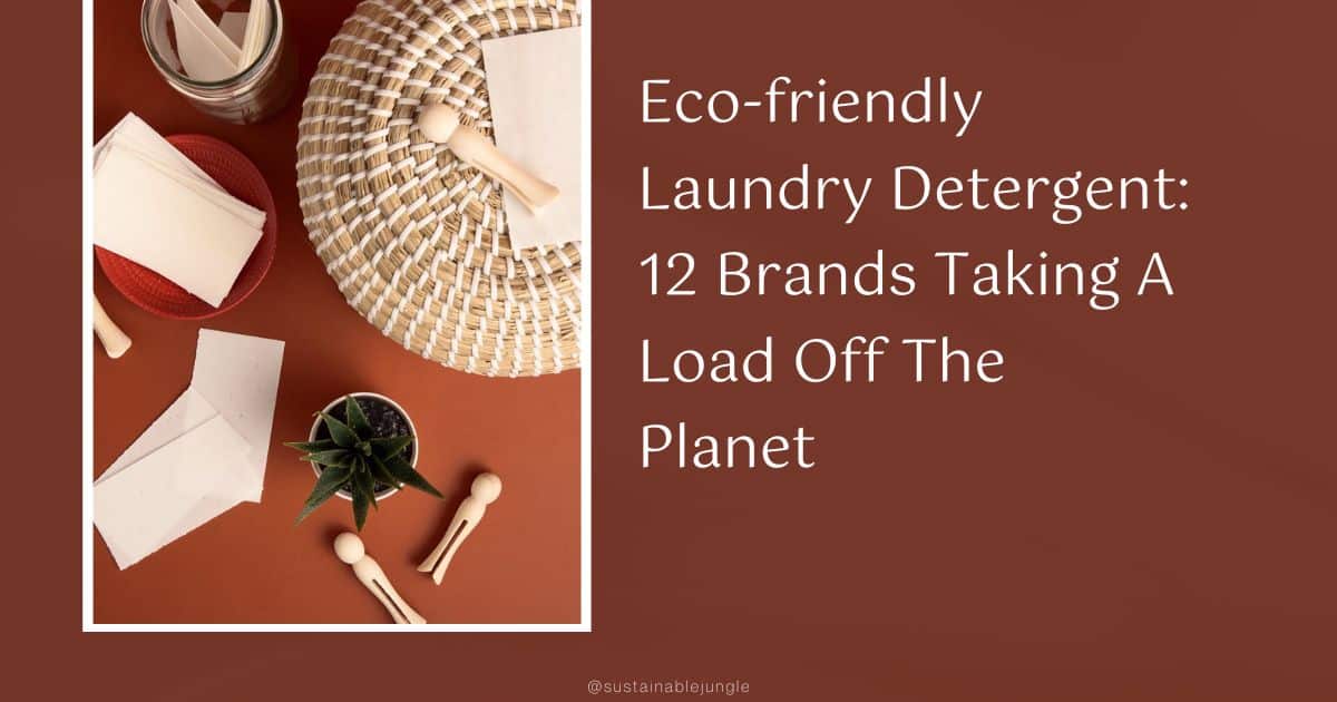 9 EcoFriendly Laundry Detergents Taking an EcoLoad Off the Earth