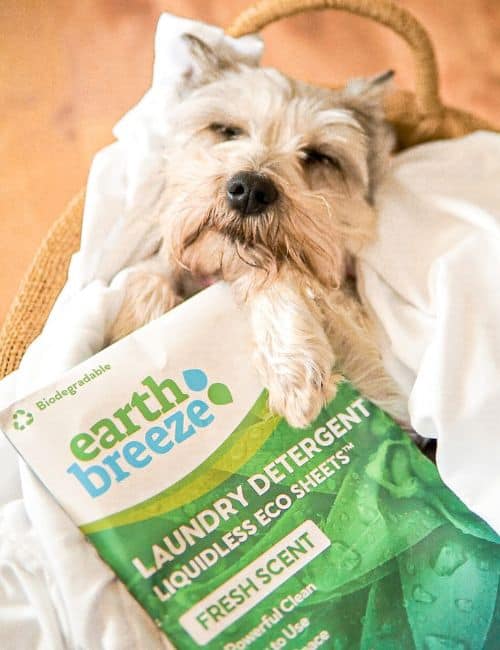 9 Laundry Detergent Sheets To Make Laundry Day A Breeze Image by Earth Breeze #laundrydetergentsheets #bestlaundrydetergentsheets #sustainablejungle