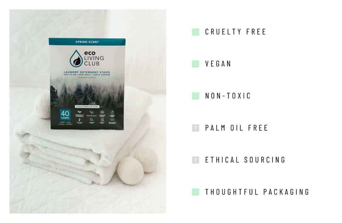 Laundry Detergent Sheets, 100 Loads, All-natural, Concentrated Eco Clean  Sheets in a Recycled Box Printed With Sustainable Algae-ink 