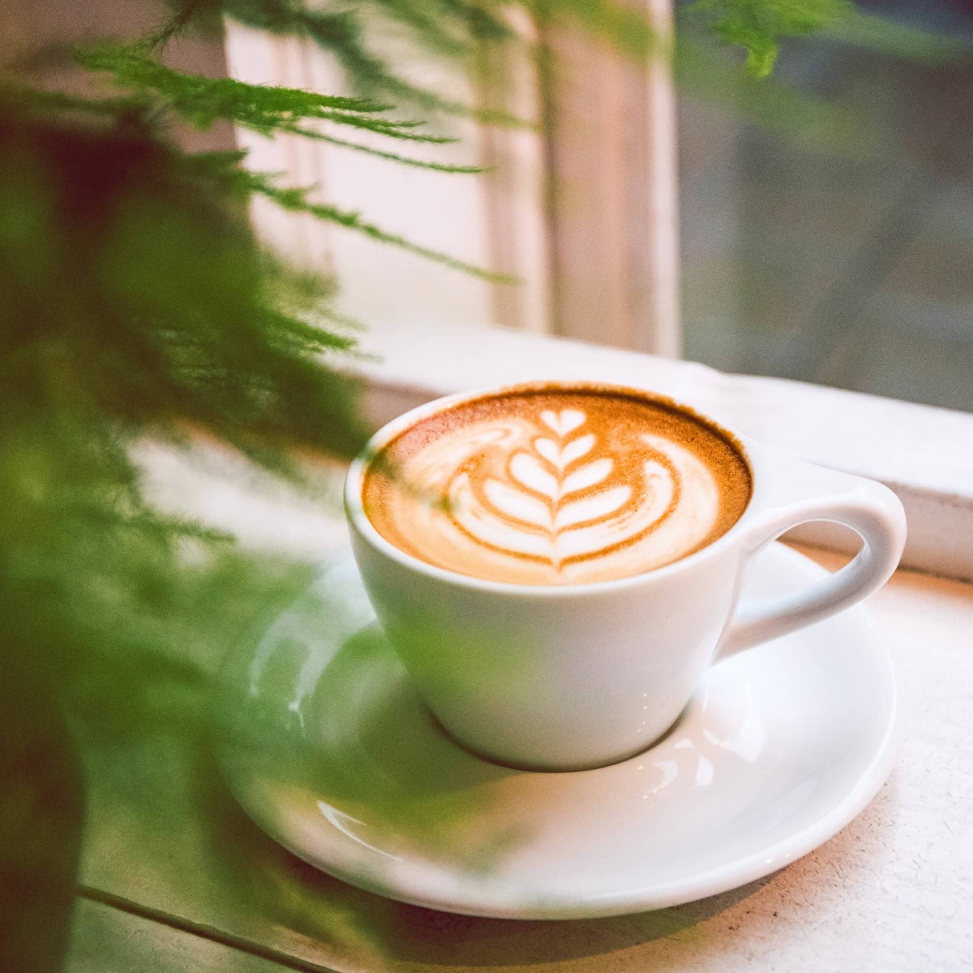 Image by Mahé Carpenter (zero-waste-coffee)