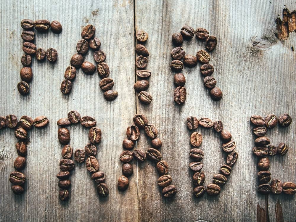 Zero Waste Coffee: 5 Tips For A Better Buzz #zerowastecoffee #zerowastecoffeebrands #zerowastecoffeebeans #howtomakezerowastecoffee #makecoffeewithoutplastic #sustainablejungle Image by RyanJLane via Getty Images on Canva Pro