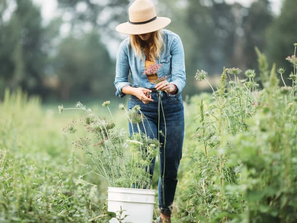 10 Sustainable Travel Tips For The Eco-Conscious Traveler #sustainabletravel #ecofriendlytravel #environmentallyfriendlytravel #sustainabletraveltips #sustainablejungle Image by RyanJLane via Getty Images Signature on Canva Pro