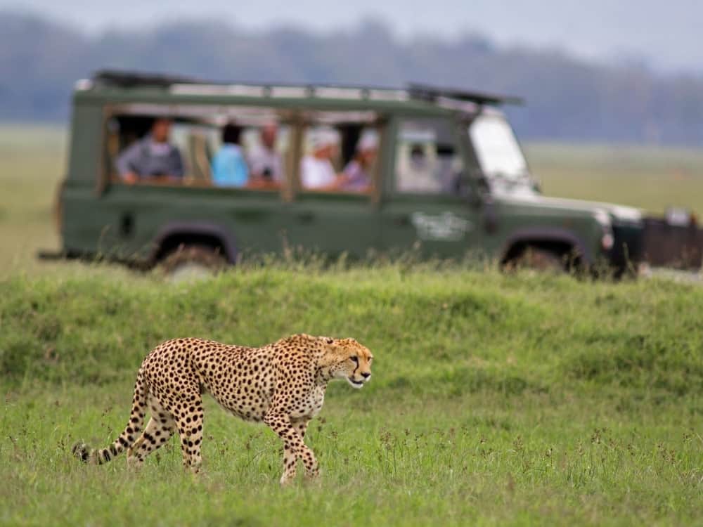 10 Sustainable Travel Tips For The Eco-Conscious Traveler #sustainabletravel #ecofriendlytravel #environmentallyfriendlytravel #sustainabletraveltips #sustainablejungle Image by WLDavies via Getty Images Signature on Canva Pro