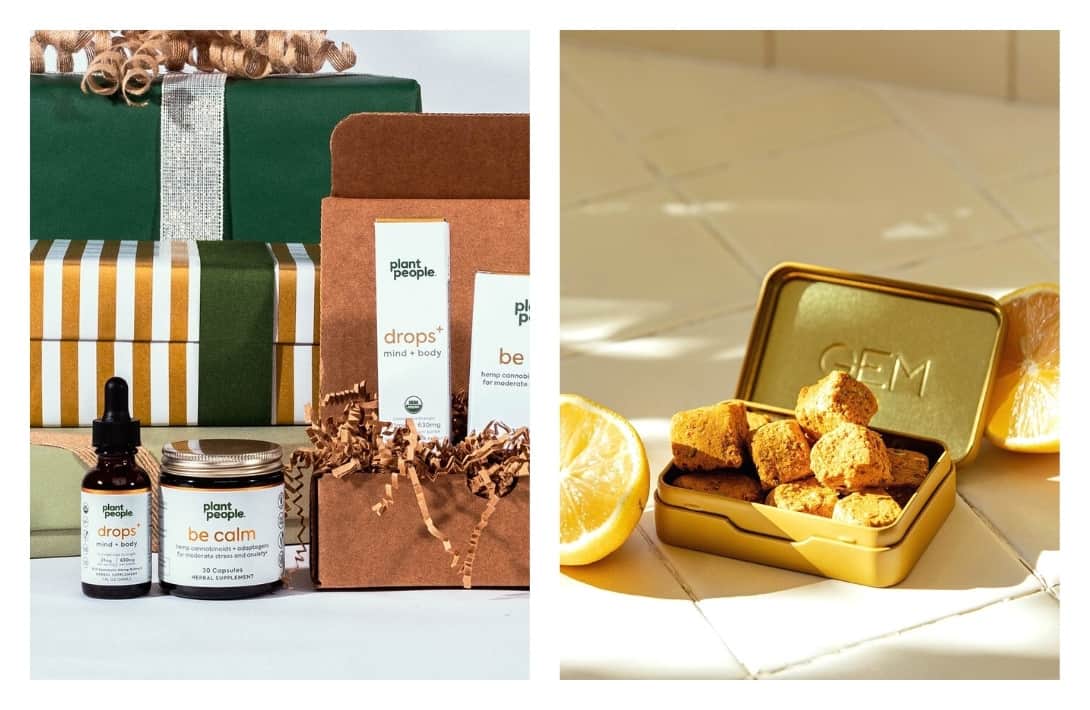 29 Sustainable & Eco-Friendly Gifts For Your Low-Impact Loved Ones #ecofriendlygifts #bestecofriendlygifts #ecofriendlygiftideas #ecofriendlychristmasgifts #sustainablegifts #bestsustainablegifts #sustainablegiftideas #sustainablejungle Images by Plant People & GEM