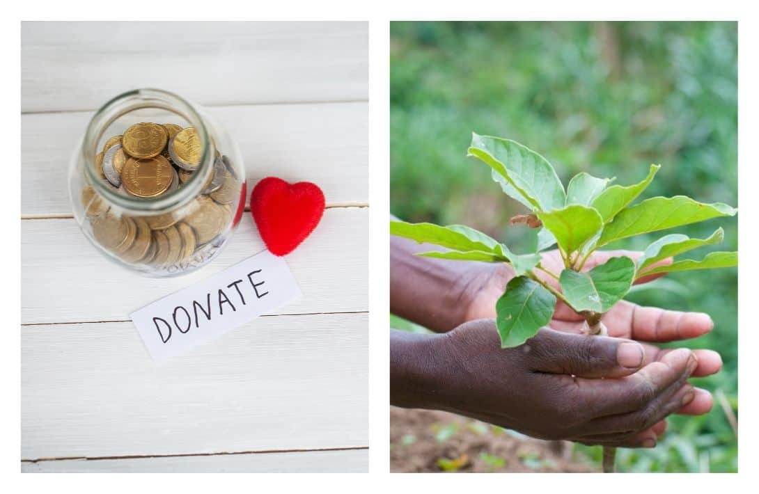 31 Low & Zero Waste Gifts For Every Plastic Free Present List Images by lurii Maksymiv and Global Giving #zerowastegifts #sustainablejungle