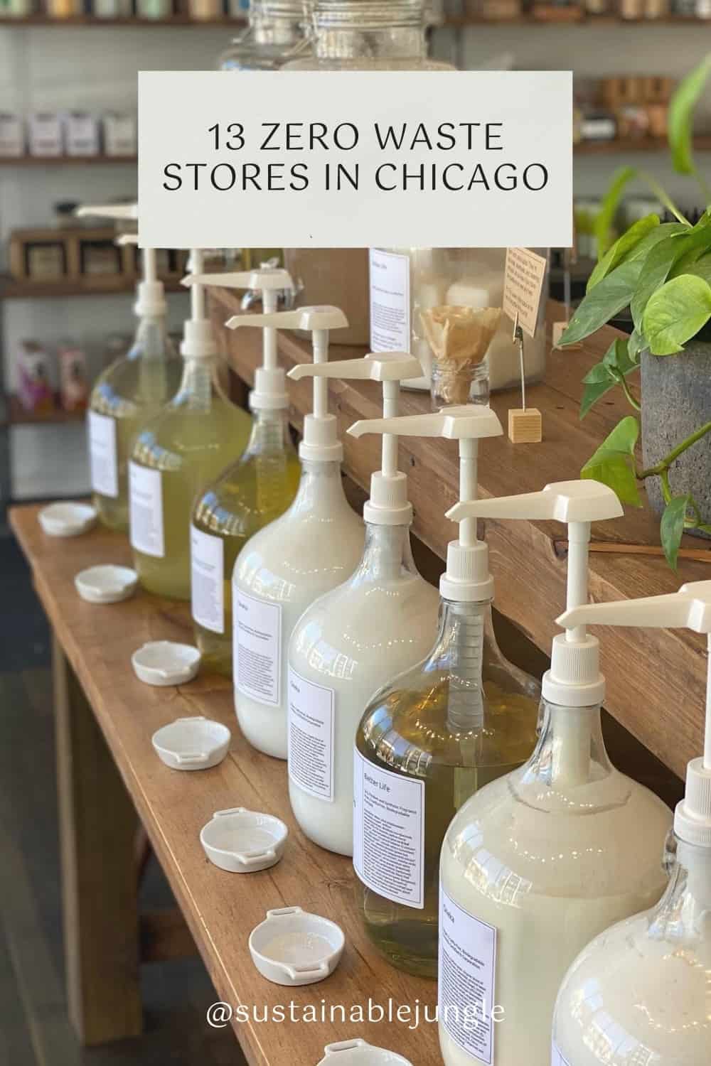 11 Zero Waste Stores in Chicago For All Your Bulk & Package Free Shopping Needs #ZeroWasteStoresinChicago #ZeroWasteStoresChicago #ChicagoZeroWasteStores #bulkstoreschicago #sustainablejungle Image by The Unwaste Shop