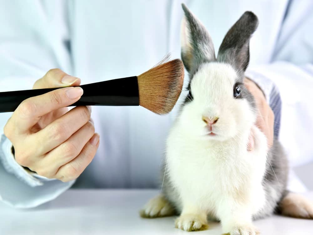 What Does Vegan & Cruelty-Free Mean & Why Does It Matter? What Does Vegan & Cruelty-Free Mean & Why Does It Matter?