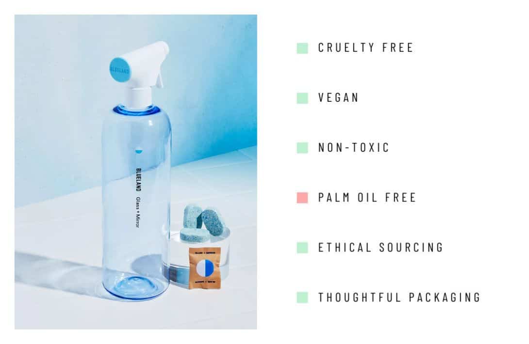 11 Refillable Cleaning Products Wiping Away Those Toxic Woes Image by Blueland #refillablecleaningproducts #bestrefillablecleaningproducts #refillableglasscleaningproducts #ecofriendlyrefillablecleaningproducts #sustainablerefillablecleaningproducts #sustainablejungle