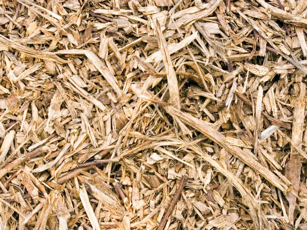What Is Lyocell Fabric & Is Its Sustainability Up To Snuff? #lyocellfabric #lyocelltencelfabric #islyocellfabricsustainable #tencellyocell #whatislyocellfabric #sustainablejungle Image by JoannElle via Getty Images on Canva Pro