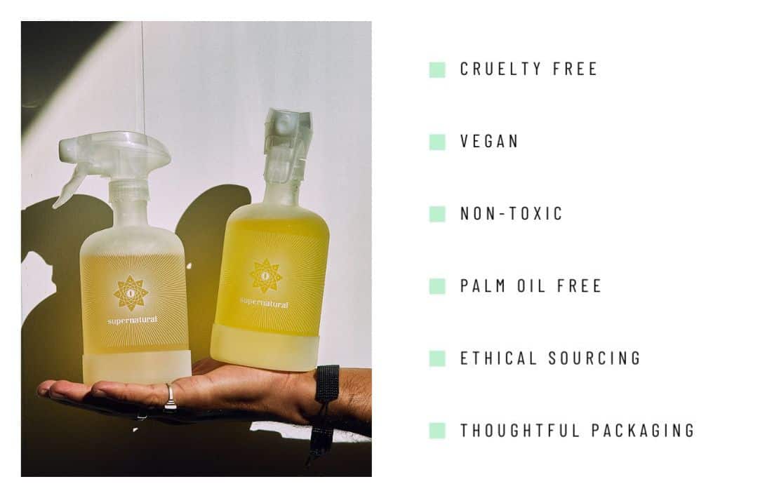 11 Refillable Cleaning Products Wiping Away Those Toxic Woes Image by Supernatural #refillablecleaningproducts #bestrefillablecleaningproducts #refillableglasscleaningproducts #ecofriendlyrefillablecleaningproducts #sustainablerefillablecleaningproducts #sustainablejungle