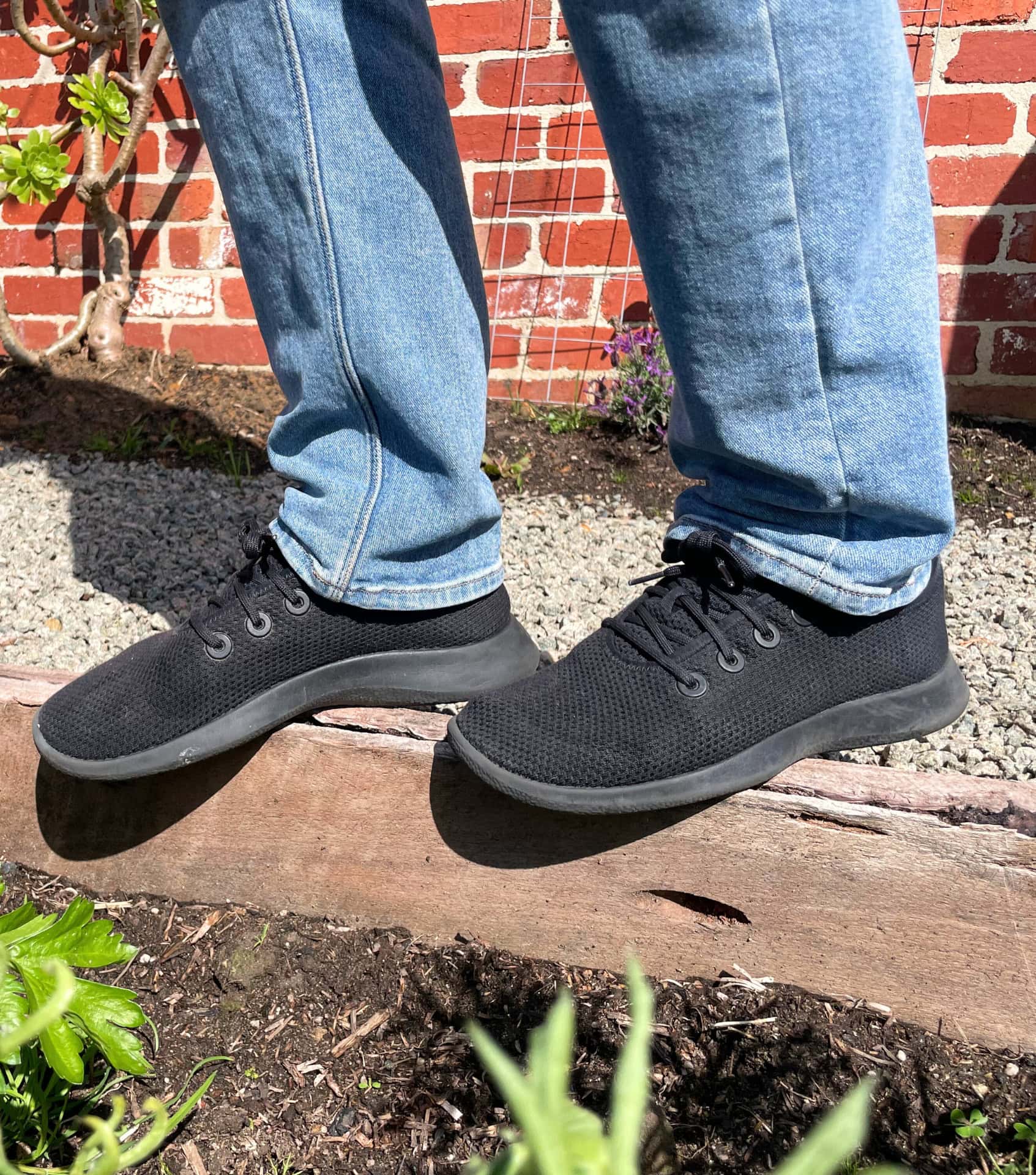 Image by Sustainable Jungle (Allbirds) (Sustainable-Mens-Shoes-2024) (2)