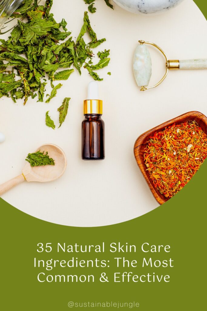 35 Natural Skin Care Ingredients: The Most Common & Effective #naturalskincareingredients #organicskincareingredients #naturalskiningredients #naturalingredientsforskincare #bestorganicskincareingredients #sustainablejungle Image by Nastassiabas via Canva Pro