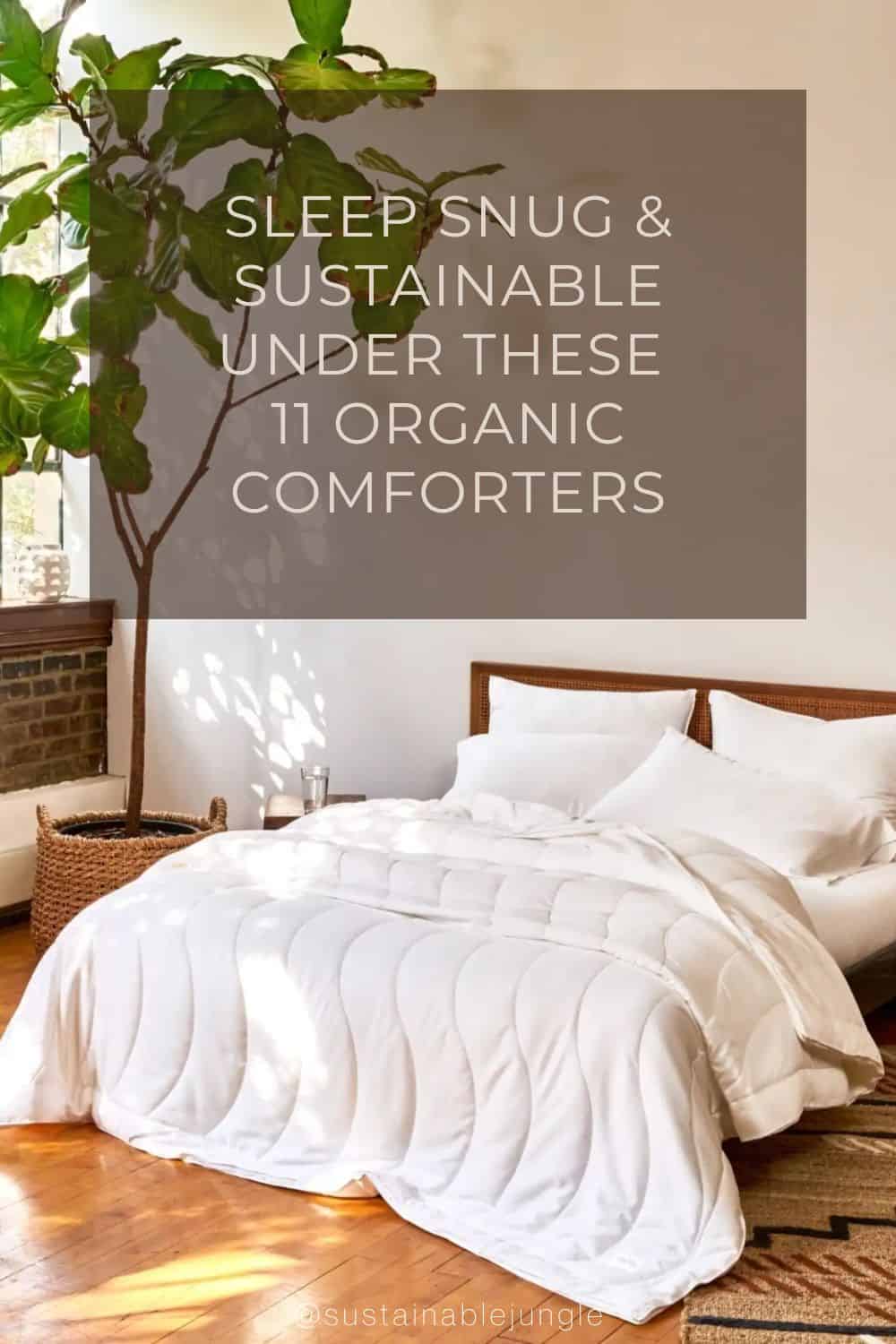Sleep Snug & Sustainable Under These 11 Organic Comforters Image by Buffy #organiccomforters #organiccomfortersets #sustainablecomforters #sustainablebedcomforters #bestorganiccomforter #sustainablejungle
