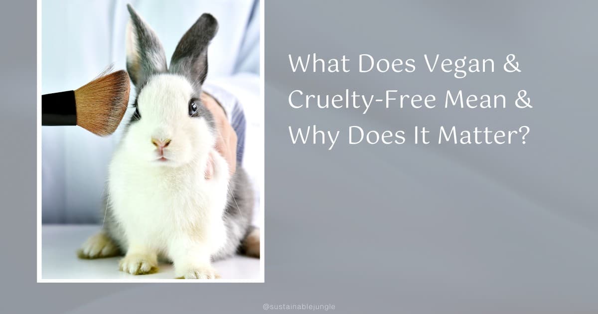 What Does Vegan & CrueltyFree Mean & Why Does It Matter?