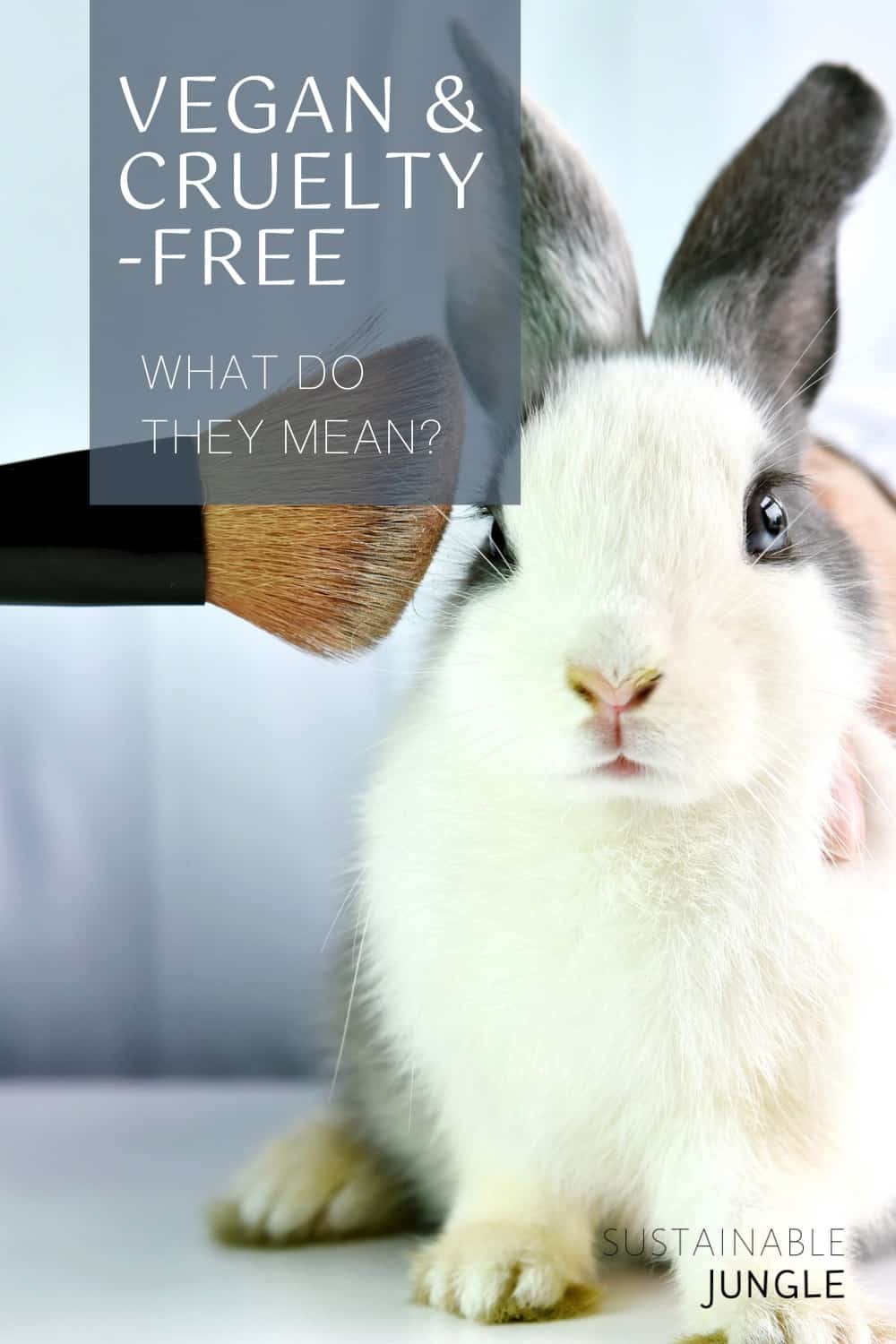 Is LVMH Cruelty-Free or Vegan? » Vegan Rabbit