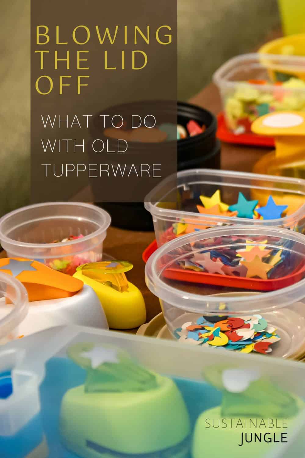 Blowing the Lid Off What To Do With Old Tupperware Image by Jorge Franganillo via Unsplash #whattodowitholdtupperware #whattodowitholdtupperwarecontainers #whattodowitholdtupperwarelids #istupperwarerecyclable #isoldtupperwaresafe #oldtupperwareuses #sustainablejungle