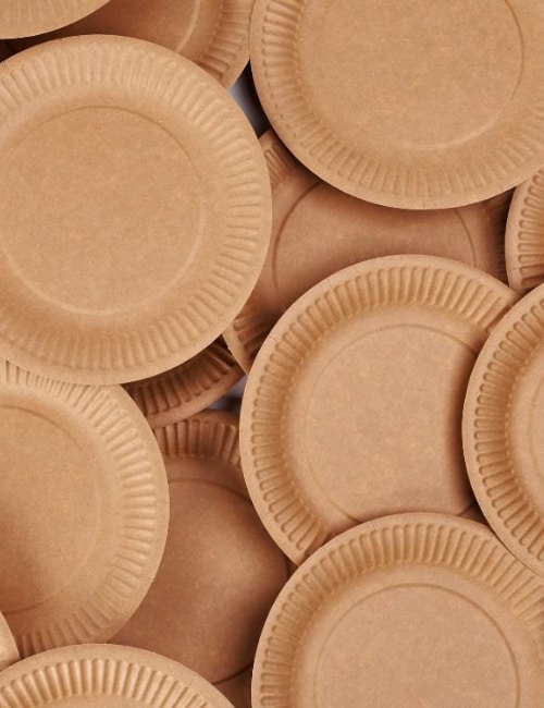 Are Paper Plates Recyclable & Eco-Friendly? Looking Behind The Paper