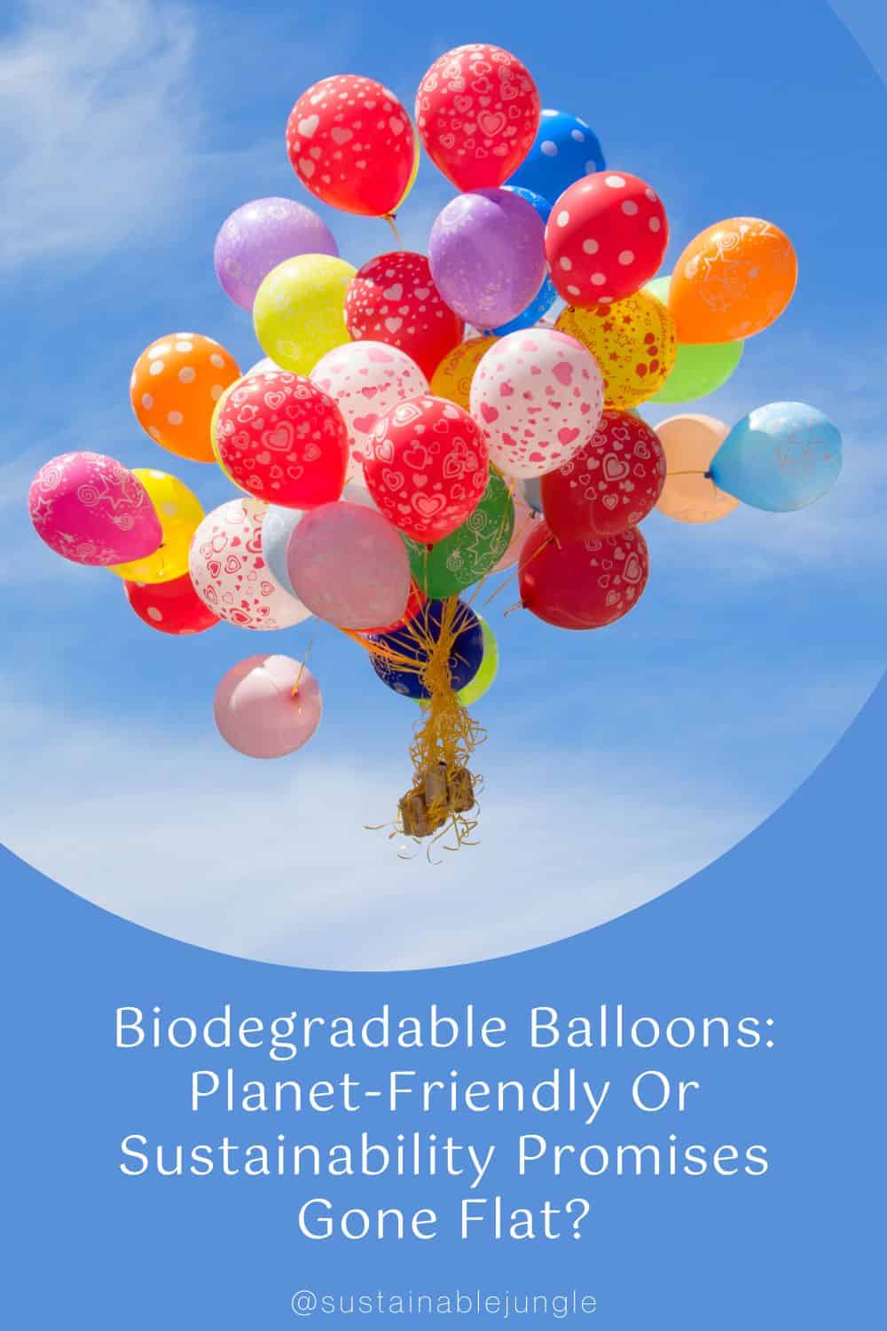 Eco on sale friendly balloons