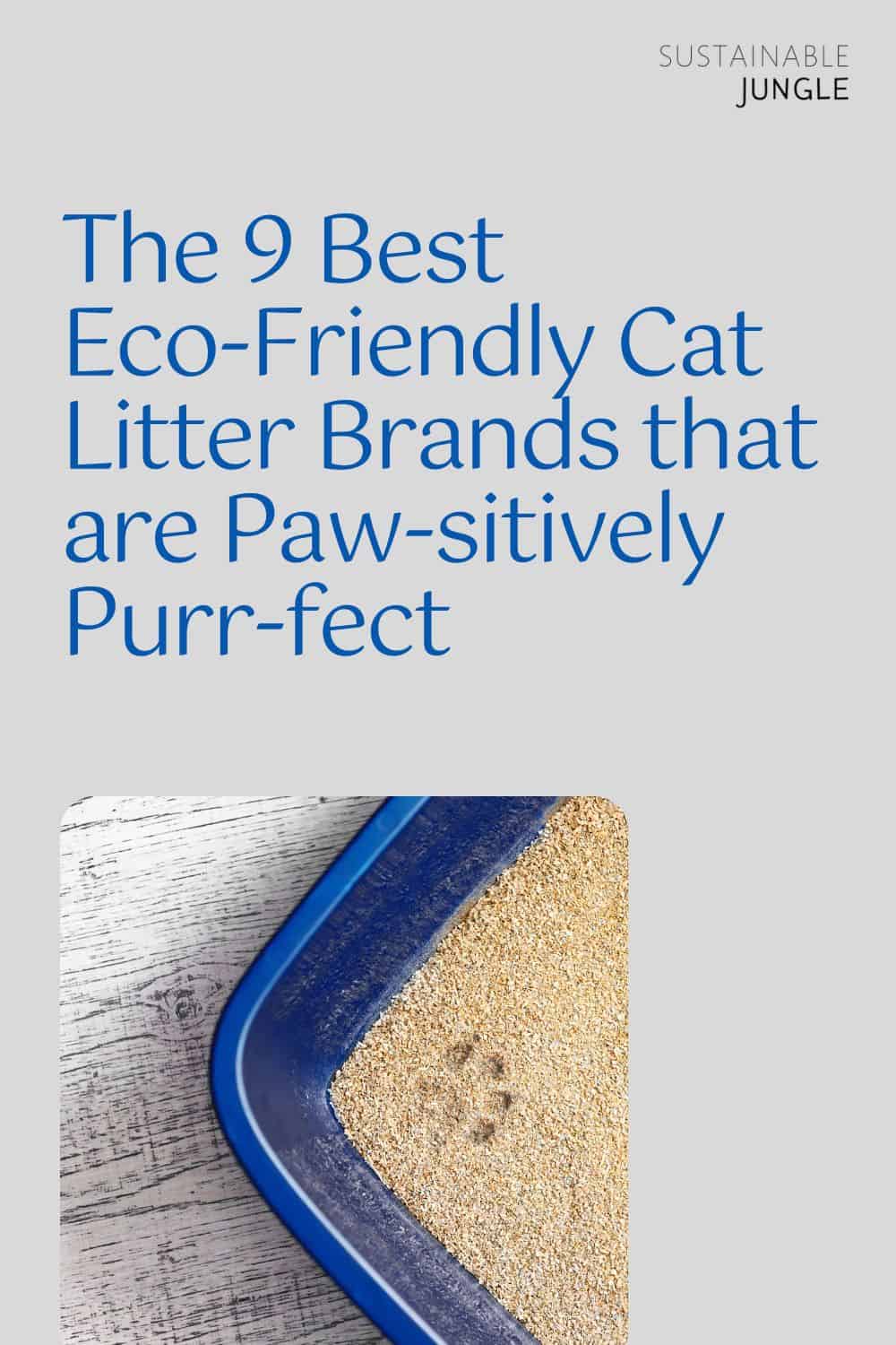 The 9 Best Eco-Friendly Cat Litter Brands that are Paw-sitively Purr-fect Image by ökocat #eco-friendlycatlitter #besteco-friendlycatlitter #mosteco-friendlycatlitter #biodegradablecatlitter #environmentallyfriendlycatlitter #sustainablecatlitter