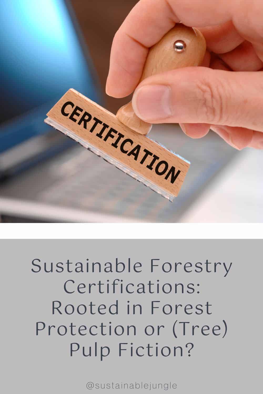 Sustainable Forestry Certifications: Rooted in Forest Protection or (Tree) Pulp Fiction? Image by filmfoto via Getty Images Pro on Canva Pro #forestrycertification #sustainableforestrycertification #forestrycertifications #forestrycertificationprograms #whatisaforestrycertification #whatisasustainableforestrycertification #sustainablejungle