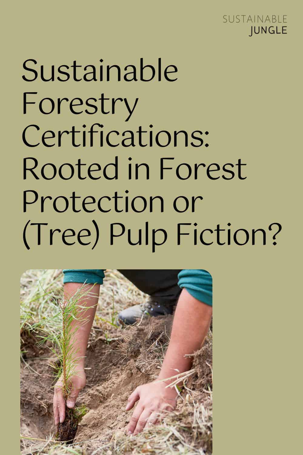 Sustainable Forestry Certifications: Rooted in Forest Protection or (Tree) Pulp Fiction? Image by Robert Kneschke via Canva Pro #forestrycertification #sustainableforestrycertification #forestrycertifications #forestrycertificationprograms #whatisaforestrycertification #whatisasustainableforestrycertification #sustainablejungle