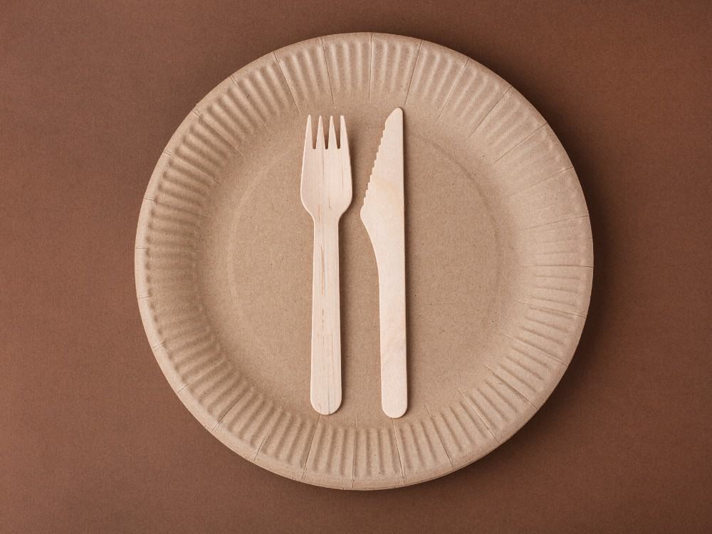 The Truth Behind The Paper: Are Paper Plates Recyclable & Eco-Friendly? Image by Anastasia Korovina via Getty Images on Canva Pro #arepaperplatesrecyclable #paperplatesrecyclable #dopaperplatesbiodegrade #arepaperplatesecofrindly #canyourecycledusedpaperplates #sustainablejungle