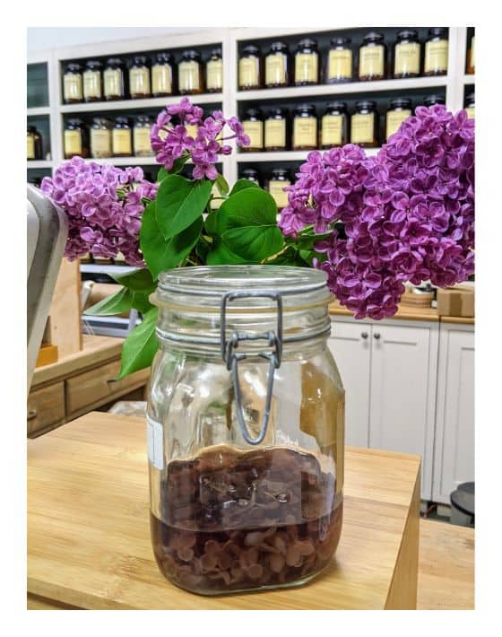 13 Bulk & Zero Waste Stores in Seattle for the Best PNW Plastic-Free Shopping Image by Dandelion Botanical #zerowastestoresseattle #zerowastegroverystoreseattle #seattlezerowastestores #bulkfoodseattle #seattlebulkfoodstores #sustainablejungle