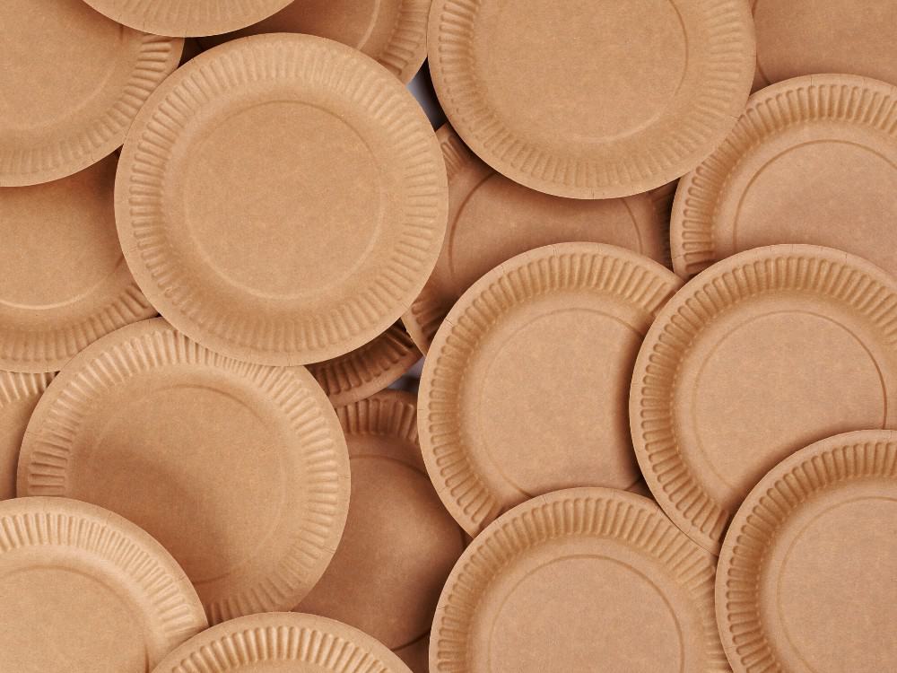 Beautiful disposable plates that are biodegradable & compostable