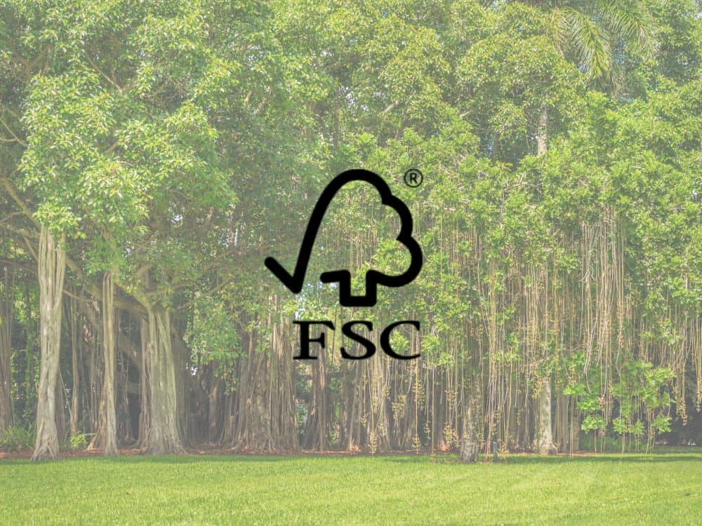 15 Sustainability Certifications Worth Knowing For More Conscious ConsumptionImage by Forest Stewardship Council® (FSC) and Maria Kraynova#sustainabilitycertifications #sustainabilitycertification #bestsustainabilitycertifications #topsustainabilitycertifications #lsustainabilitycertifications #sustainablejungle