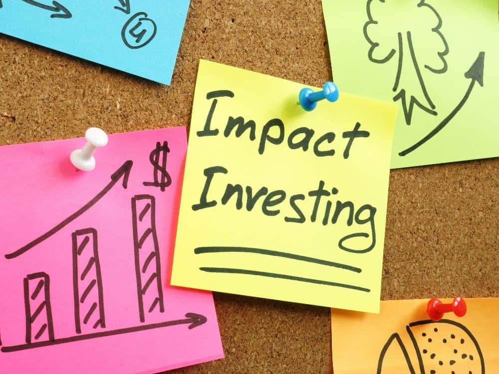 What is Impact Investing? Image by designer491 via Getty Images on Canva Pro #whatisimpactinvesting #howtostartimpactinvesting #socialimpactinvesting #whatissociallyresponsibleinvesting #esgsociallyresponsibleinvesting #sustainablejungle