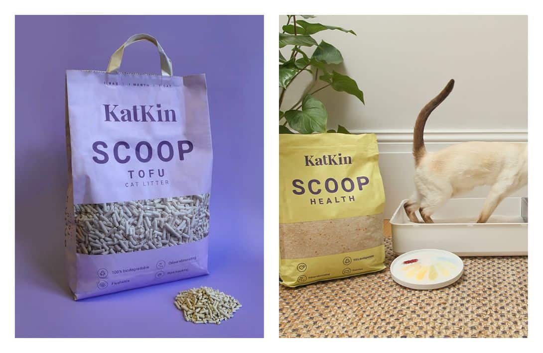 The 9 Best Eco-Friendly Cat Litter Brands that are Paw-sitively Purr-fect Images by KatKin Scoop #eco-friendlycatlitter #besteco-friendlycatlitter #mosteco-friendlycatlitter #biodegradablecatlitter #environmentallyfriendlycatlitter #sustainablecatlitter