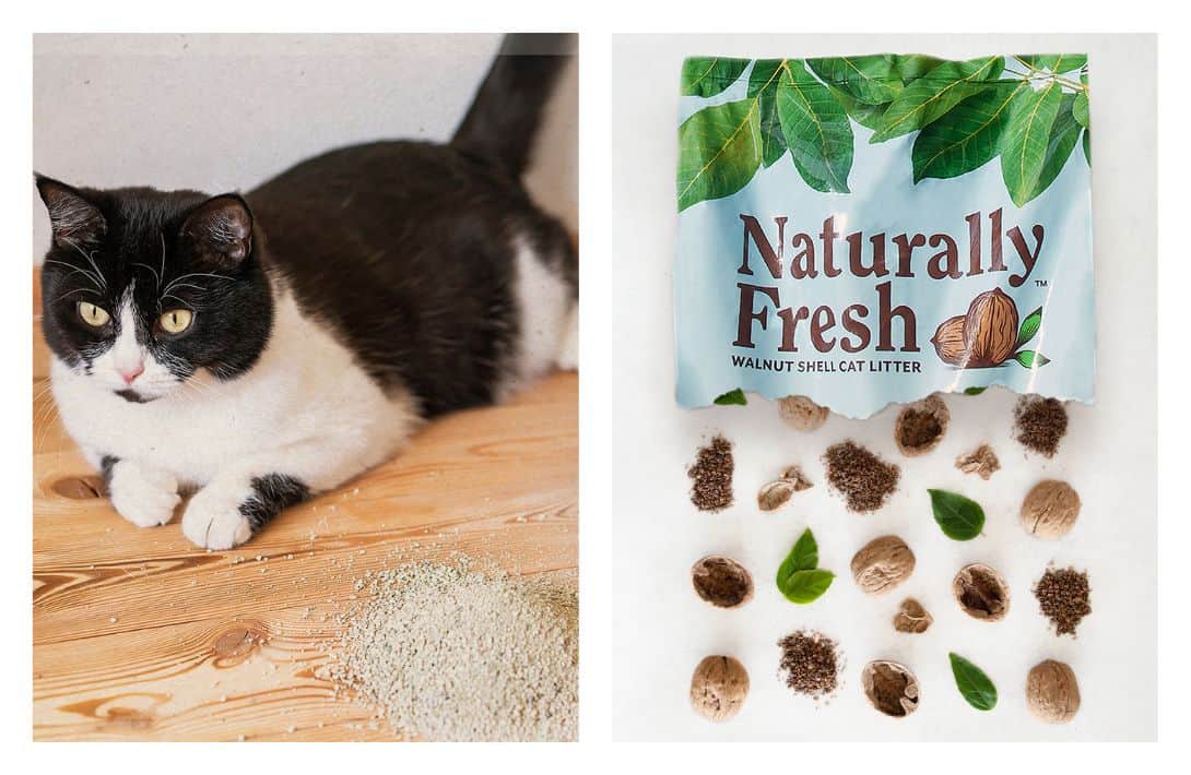 The 9 Best Eco-Friendly Cat Litter Brands that are Paw-sitively Purr-fect Images by Naturally Fresh #eco-friendlycatlitter #besteco-friendlycatlitter #mosteco-friendlycatlitter #biodegradablecatlitter #environmentallyfriendlycatlitter #sustainablecatlitter