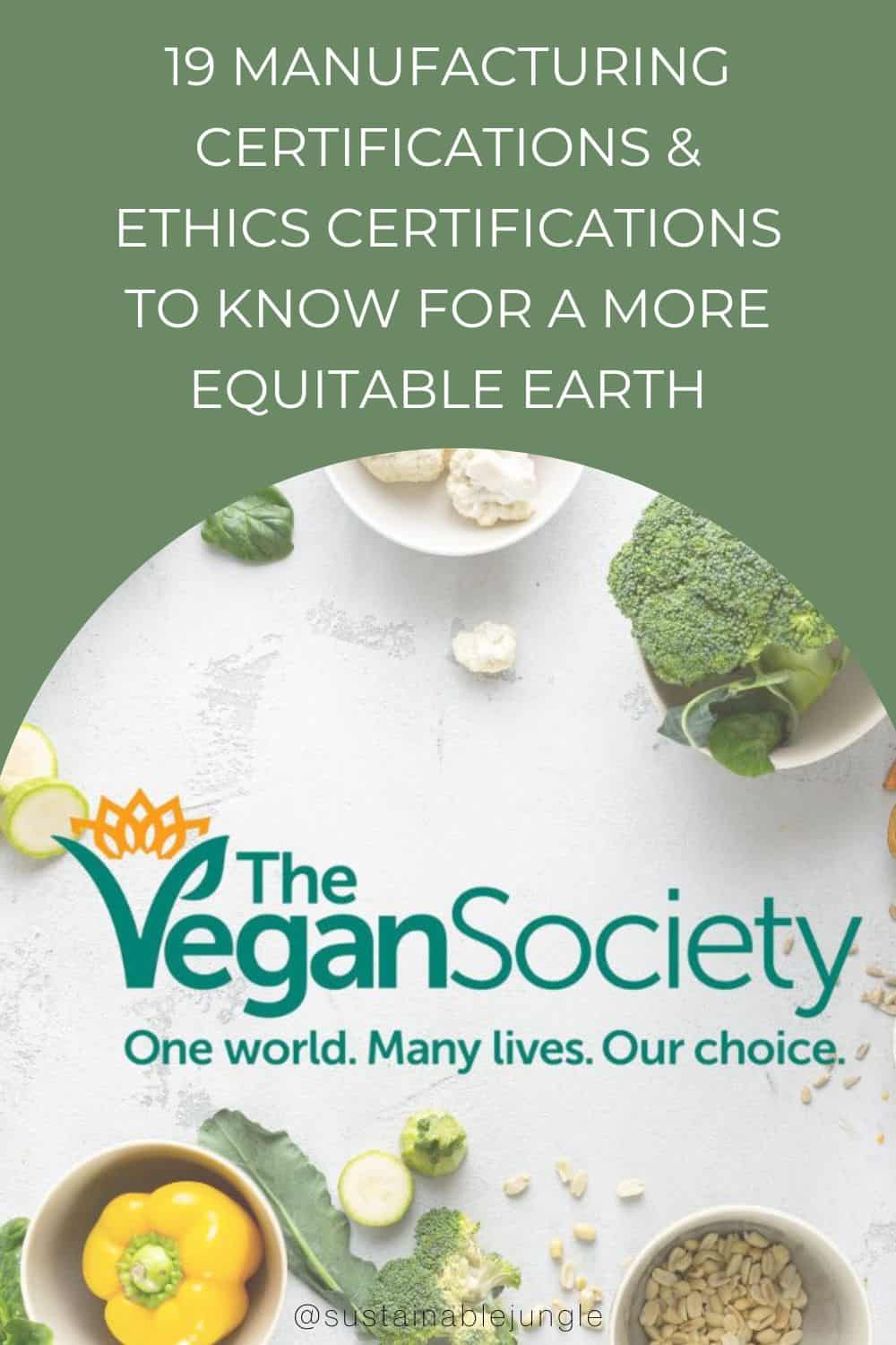 19 Manufacturing Certifications & Ethics Certifications to Know For a More Equitable Earth Image by Vegan Society and KucherAV via Getty Images on Canva Pro #manufacturingcertifications #manufacturingcertificationslist #ethicalmanufacturingcertifications #manufacturingsafetycertifications #ethicscertifications #ethicsandcompliancecertification #sustainablejungle