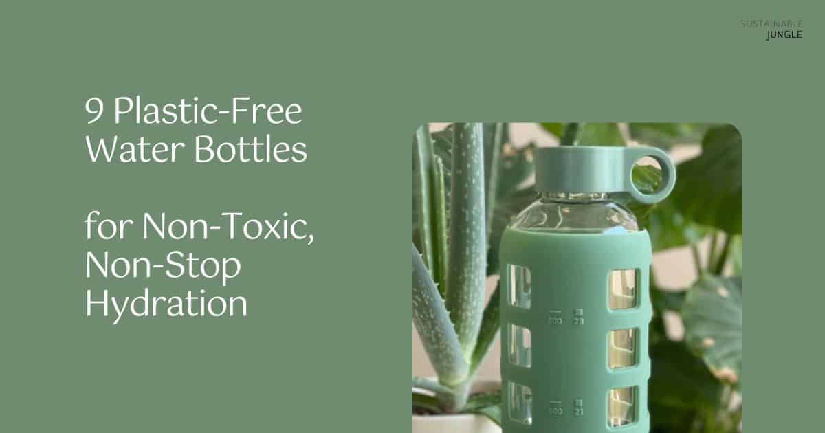 9 PlasticFree Water Bottles For The Best NonToxic Hydration