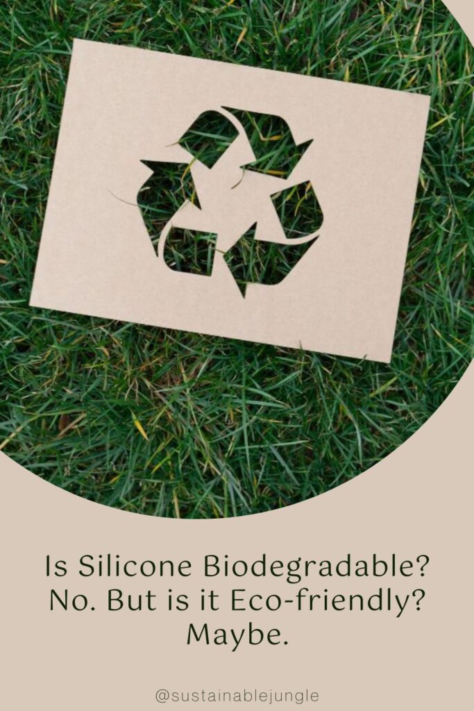 Is Silicone Biodegradable? No. But Is It Ecofriendly? Maybe.