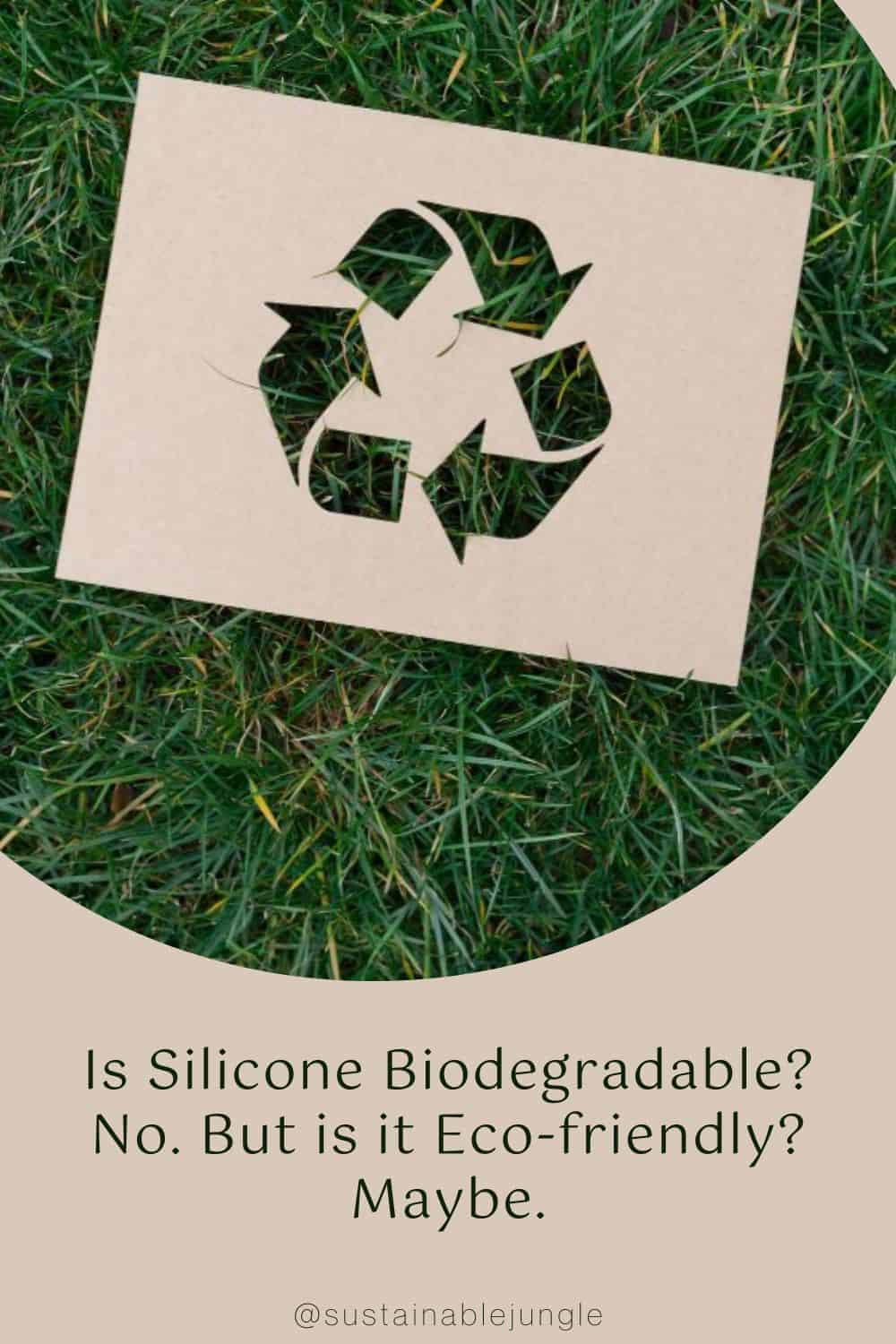 Is Silicone Biodegradable? No. But is it Eco-friendly? Maybe. Image by sematadesign via Getty Images on Canva Pro #issiliconebiodegradable #issiliconeecofriendly #doessiliconebiodegrade #howbiodegradableissilicone #issiliconesustainable #sustainablejungle