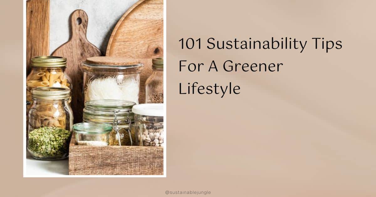 101 Sustainability Tips For A Greener Lifestyle Image by Olga Peshkova via Getty Images on Canva Pro #sustainabilitytips #sustainabilityideas #sustainablelivingtips #sustainablehomeliving #easysustainabilitytips #tipsforsustainability #sustainablejungle