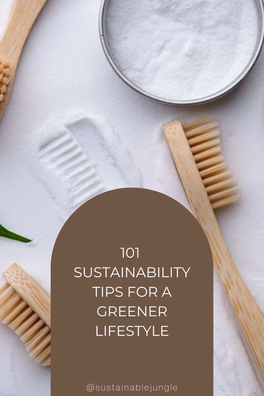 101 Sustainability Tips For A Greener Lifestyle Image by Yuliya Furman via Canva Pro #sustainabilitytips #sustainabilityideas #sustainablelivingtips #sustainablehomeliving #easysustainabilitytips #tipsforsustainability #sustainablejungle