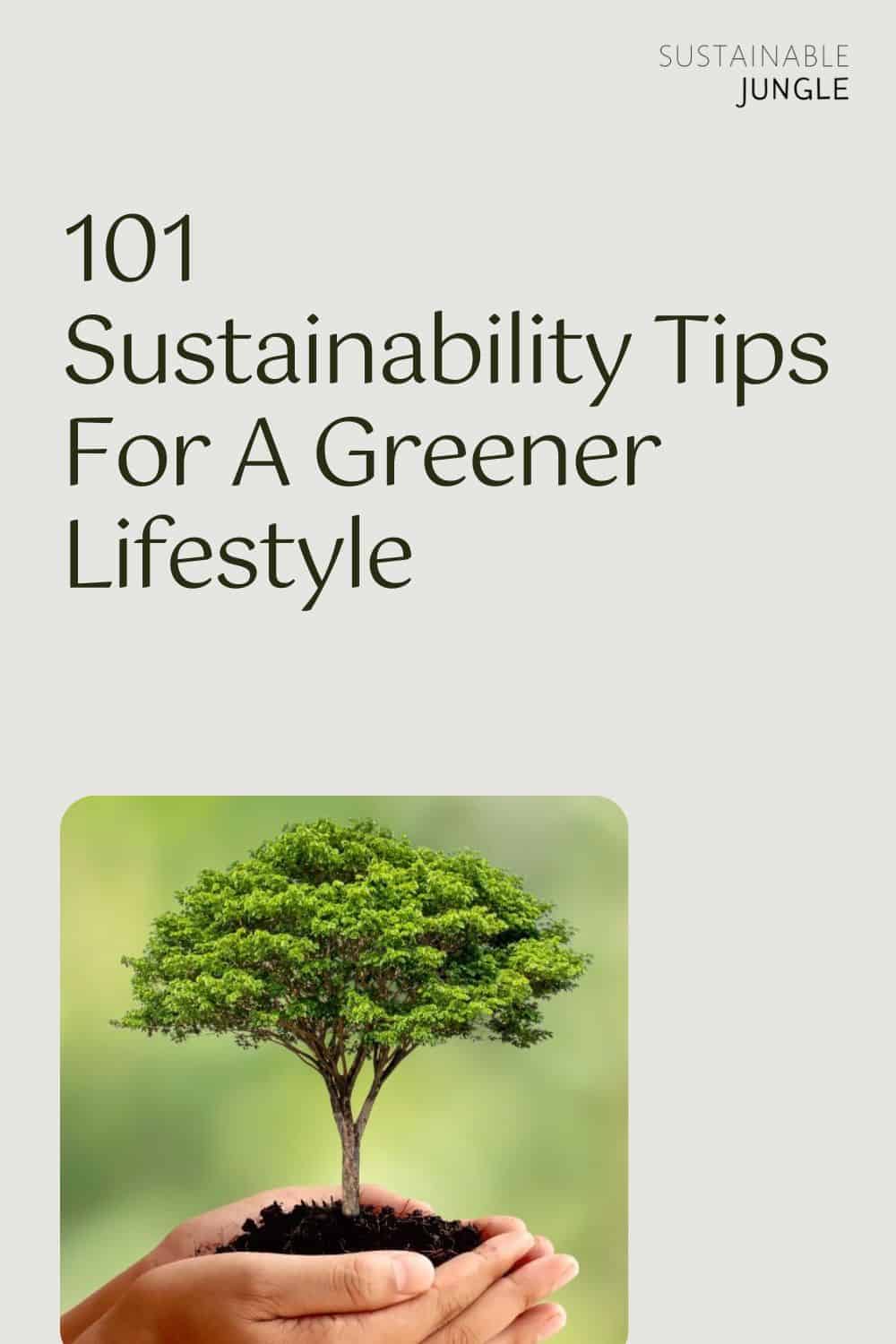 101 Sustainability Tips For A Greener Lifestyle Image by Arthon meekodong via Canva Pro #sustainabilitytips #sustainabilityideas #sustainablelivingtips #sustainablehomeliving #easysustainabilitytips #tipsforsustainability #sustainablejungle