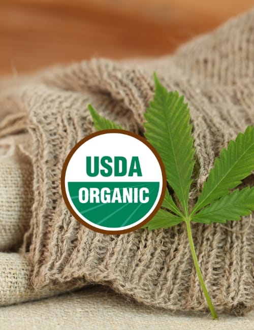Is USDA Organic Reliable? Exploring Criticisms Of The Certification Image by OlegMalyshev via Getty Images on Canva Pro #USDAorganicreliable #USDAorganiclabelreliable #USDAorganictrustworthy #USDAorganicgreenwashing #USDAorganiclegit #sustainablejungle