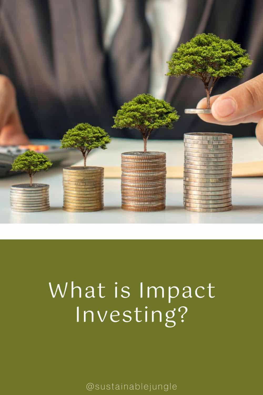 What is Impact Investing? Image by Arthon meekodong via Canva Pro #whatisimpactinvesting #howtostartimpactinvesting #socialimpactinvesting #whatissociallyresponsibleinvesting #esgsociallyresponsibleinvesting #sustainablejungle