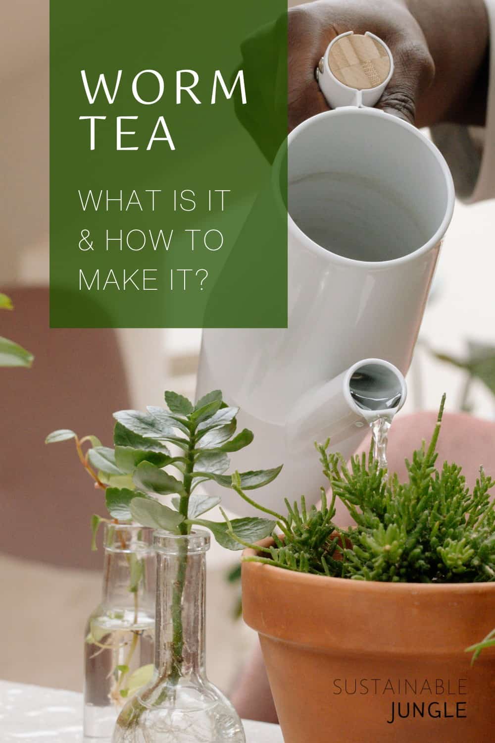 How To Make Worm Tea For Plants & The Planet #wormtea #whatiswormtea #wormcastingtea #howtomakewormtea #benefitsofwormtea #wormteaforplants #sustainablejungle Image by cottonbro via Pexels on Canva Pro