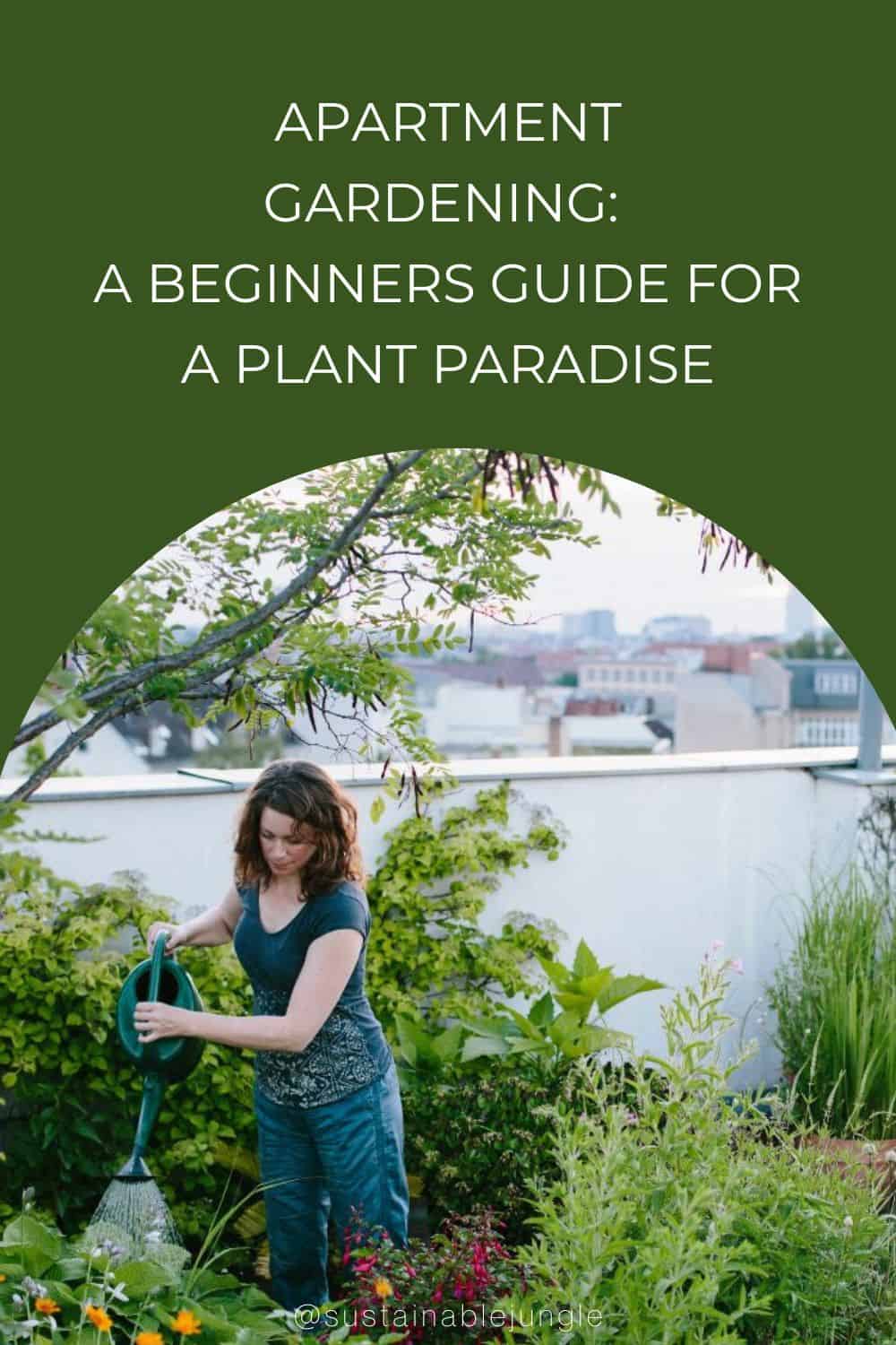 Apartment Gardening: A Beginners Guide For A Plant Paradise Image by fotografixx #apartmentgardening #apartmentgarden #apartmentgardeningideas #howtogardeninanapartment #sustainablejungle