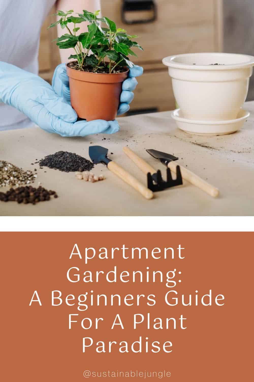 Apartment Gardening: A Beginners Guide For A Plant Paradise Image by golubovy #apartmentgardening #apartmentgarden #apartmentgardeningideas #howtogardeninanapartment #sustainablejungle