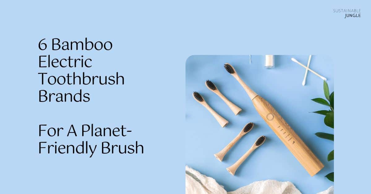 6 Bamboo Electric Toothbrush Brands For A Brush