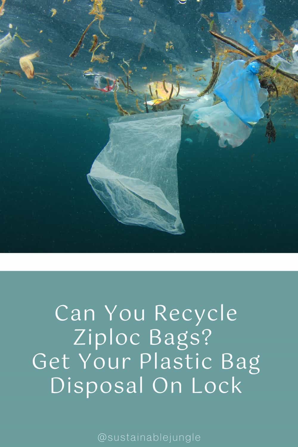 Ziploc, Glad and other plastic storage bags: Don't trash them, recycle them