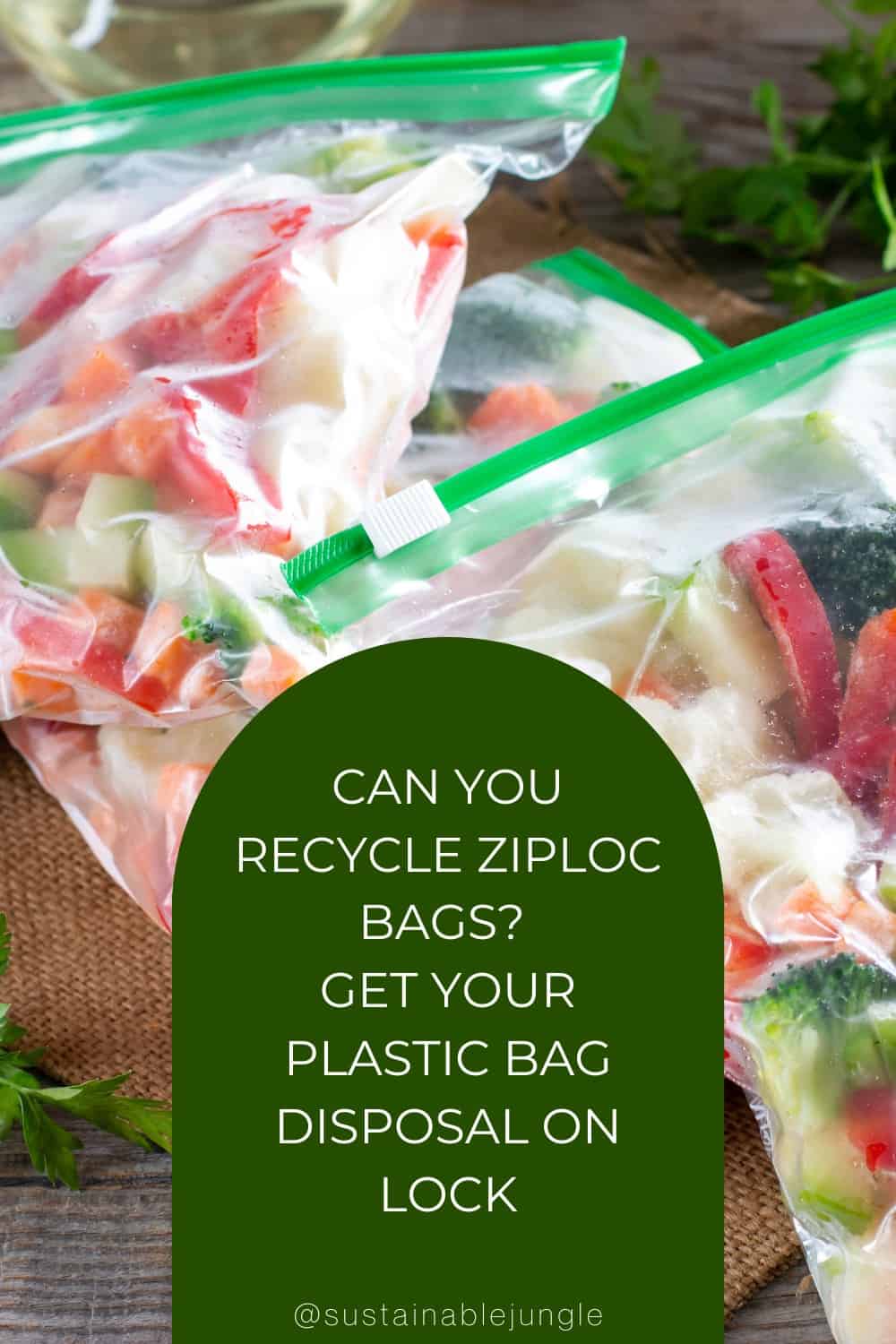 Can You Recycle Ziplock Bags? Get Your Plastic Bag Disposal On Lock Image by Ahanov Michael #canyourecycleziplockbags #areziplockbagsrecyclable #howtorecycleziplockbags #recyclingziplockbags #areplasticsnackbagsrecyclable #sustainablejungle