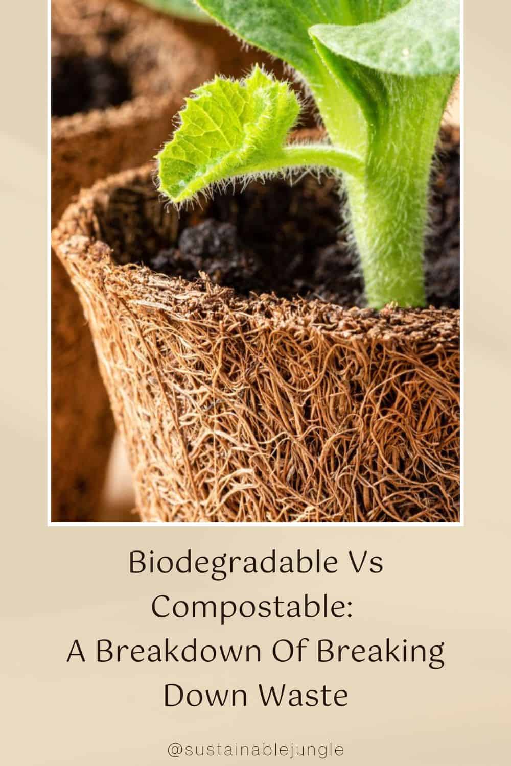 Biodegradable Vs Compostable: A Breakdown Of Breaking Down Waste Image by Svetlana Monyakova via Getty Images on Canva Pro #biodegradablevscompostable #compostablevsbiodegradable #doescompostablemeanbiodegradable #compostableplastic #biodegradableplastic #biodegradableandcompostable #sustainablejungle