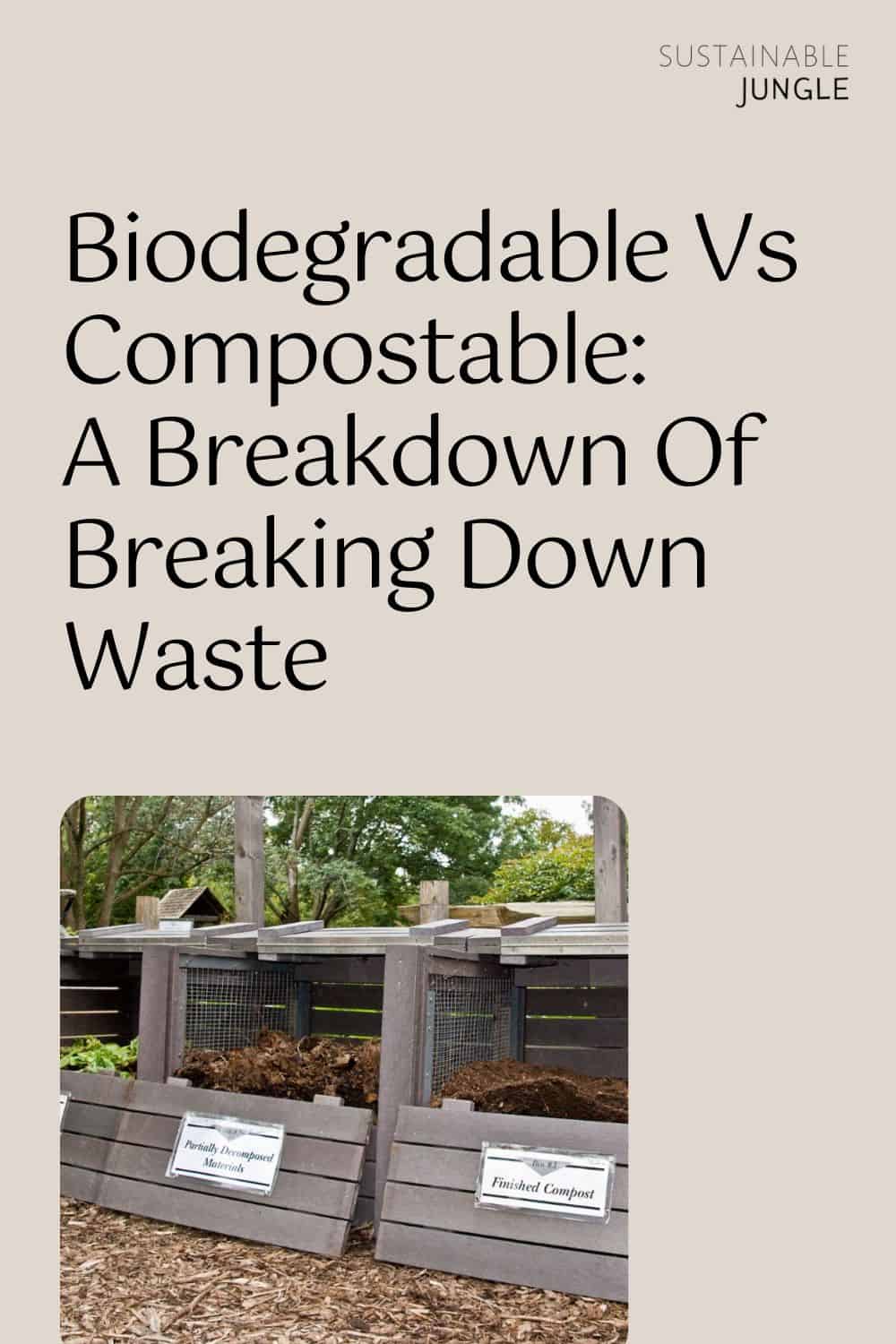 Biodegradable Vs Compostable: A Breakdown Of Breaking Down Waste Image by ImageInnovation via Getty Images Signature on Canva Pro #biodegradablevscompostable #compostablevsbiodegradable #doescompostablemeanbiodegradable #compostableplastic #biodegradableplastic #biodegradableandcompostable #sustainablejungle